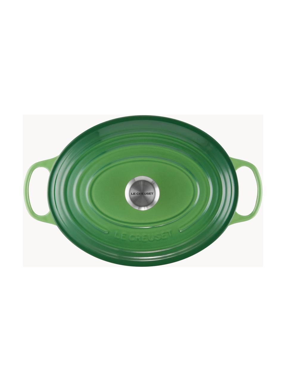 Cocotte ovale en fonte émaillée Signature Collection, Fonte, émaillée, Tons verts, larg. 31 x 18 cm, 6,3 L