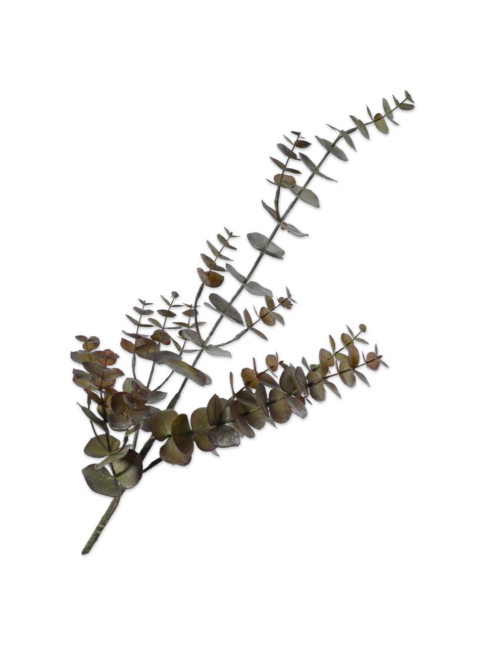 Dekoracyjna gałąź eukaliptusa, Tworzywo sztuczne, metalowy drut, Brązowy, D 81 cm