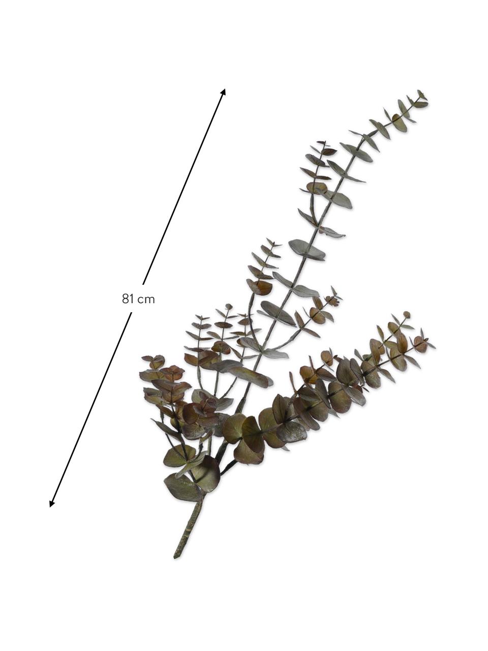 Umelá eukalyptová vetva, Plast, kovový drôt, Hnedá, D 81 cm