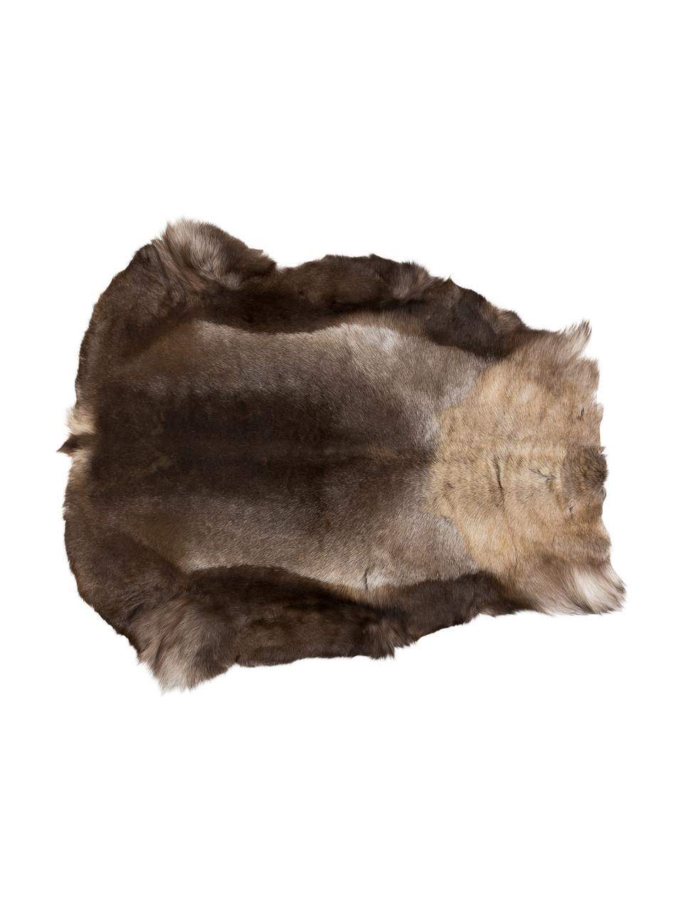 Skóra z renifera Niels, Jasnobrązowy, brązowy, beżowy, S 130 x D 150 cm