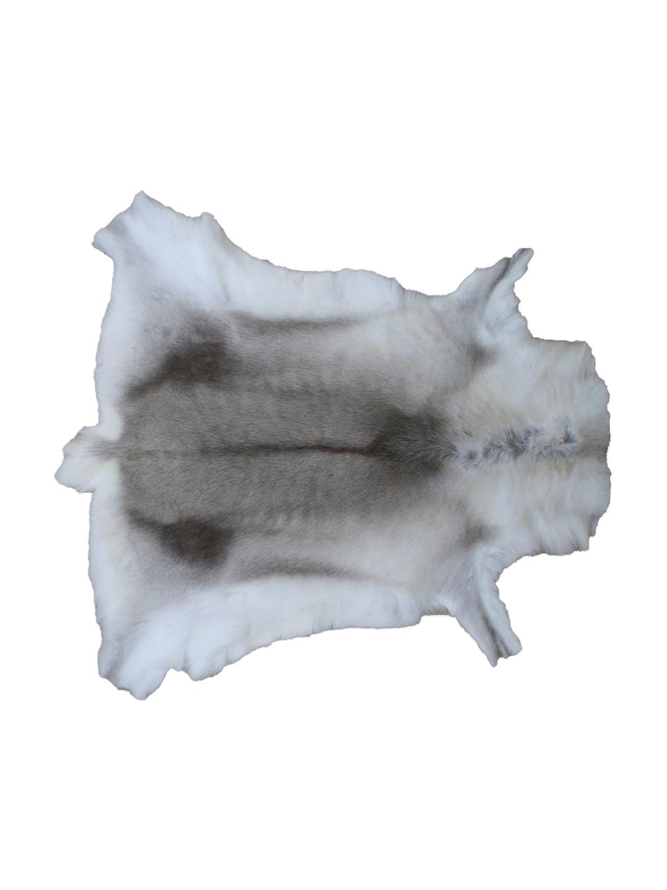 Afombra de piel de reno Zontas, Piel de reno, Tonos marrones, blanco, Piel de reno única 175, 75 x 115 cm