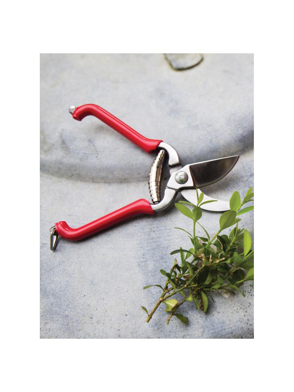 Cesoie da giardinaggio Cathy, Metallo rivestito, Rosso, Larg. 4 x Alt. 14 cm