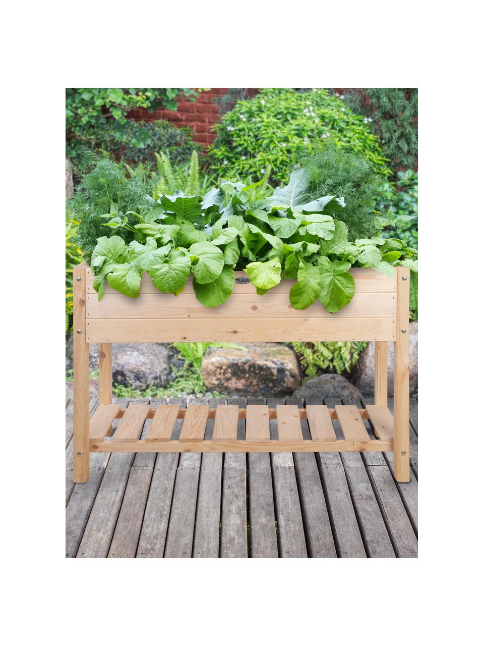 Kweektafel Vegetables, Grenenhout, B 118 x H 78 cm
