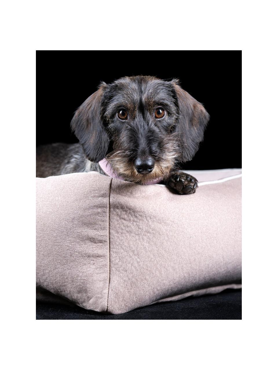 Lit pour chien en velours Classic, tailles variées, Velours pêche, larg. 68 x prof. 55 cm