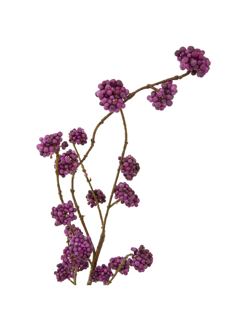 Flor artificial callicarpa Cecilia, Plástico, metal, espuma, Violeta, verde, An 15 x L 94 cm