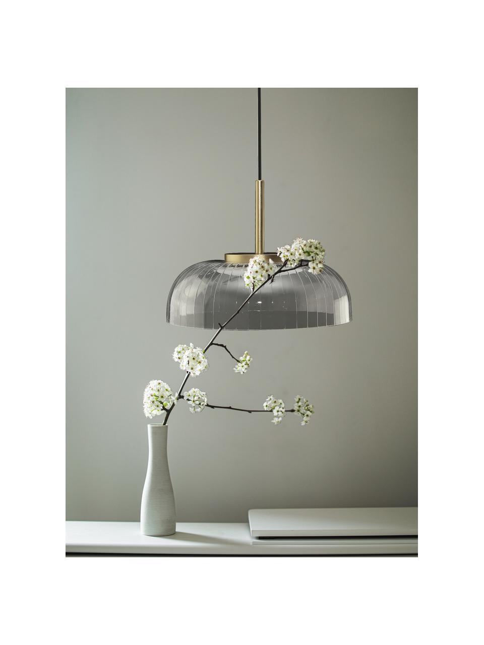 LED hanglamp Vitrum, Lampenkap: acrylglas, Transparant, goudkleurig, zwart, Ø 20 x H 15 cm
