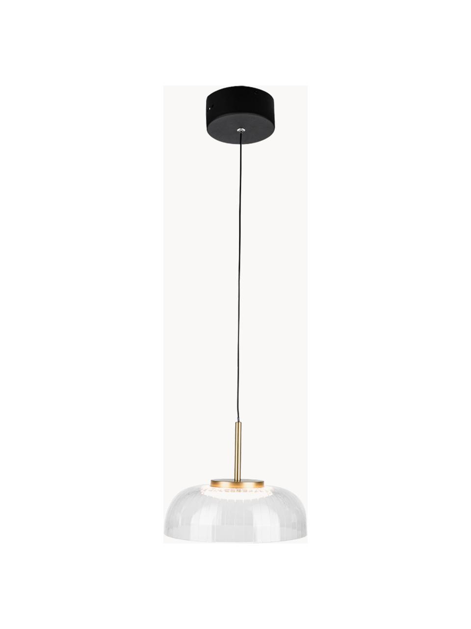 Závěsné LED svítidlo Vitrum, Transparentní, zlatá, černá, Ø 20 cm, V 15 cm
