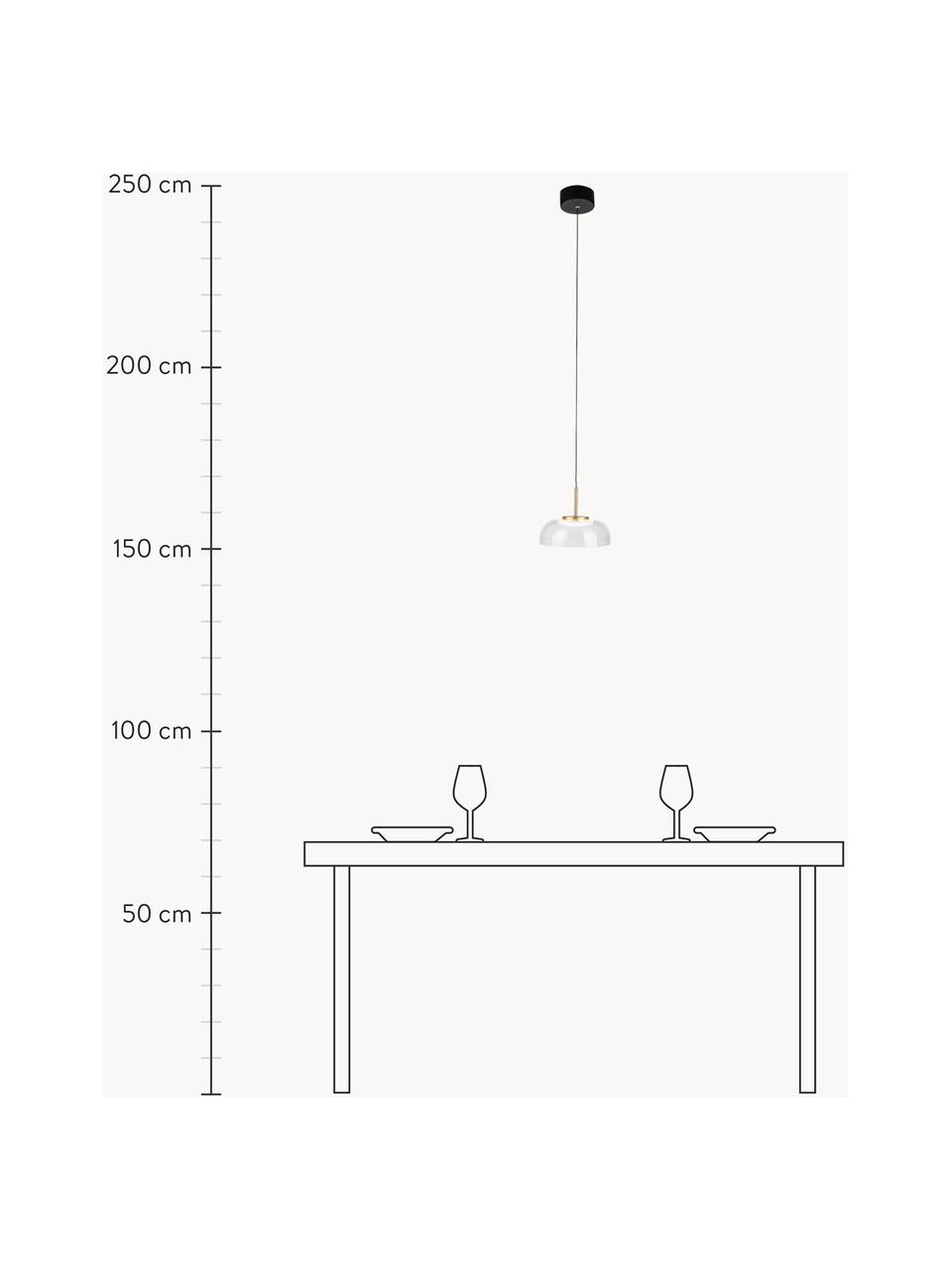 LED-Pendelleuchte Vitrum, Lampenschirm: Acrylglas, Baldachin: Metall, pulverbeschichtet, Transparent, Goldfarben, Schwarz, Ø 20 x H 15 cm