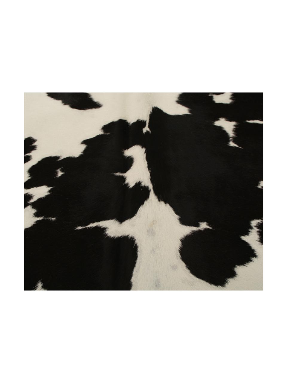 Alfombra de piel bovina Otto, Piel bovina, Negro, blanco, Piel bovina única 975, 160 x 180 cm