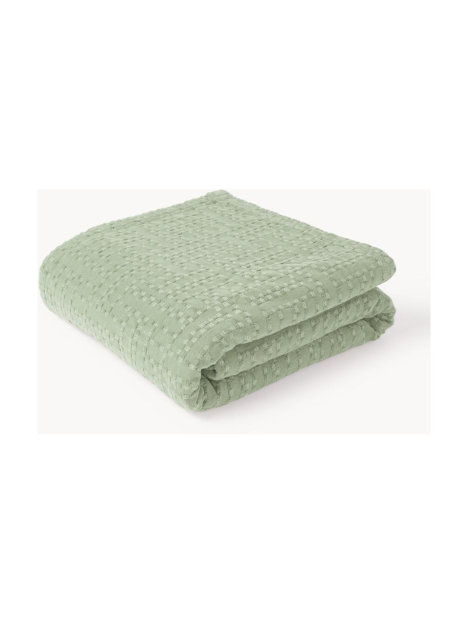 Colcha de algodón Lazlo, 100% algodón

El material utilizado para este producto ha sido probado contra sustancias nocivas y está certificado según el STANDARD 100 por OEKO-TEX®, 5763CIT, CITEVE., Verde salvia, An 230 x L 250 cm (para camas de 180 x 200 cm)