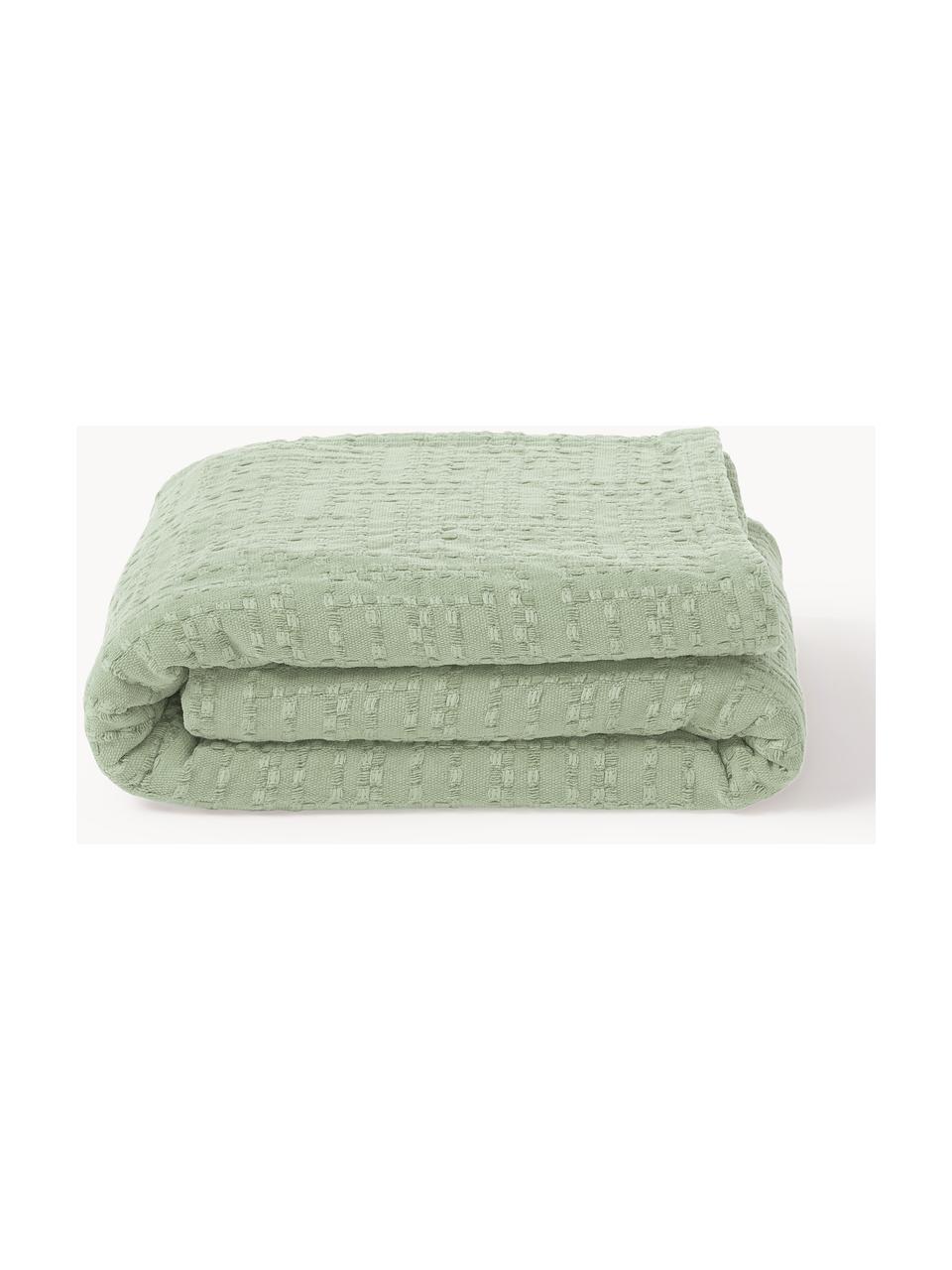 Couvre-lit en coton Lazlo, 100 % coton

Le matériau est certifié STANDARD 100 OEKO-TEX®, 5763CIT, CITEVE, Vert sauge, larg. 230 x long. 250 cm (pour lits jusqu'à 180 x 200 cm)