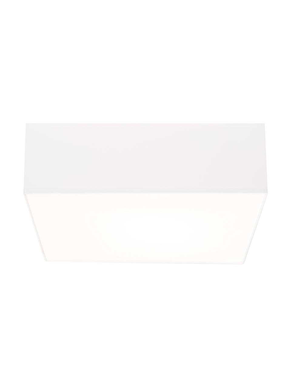 Stropní svítidlo z umělé hmoty Mitra, Rám: bílá Kryt žárovky: bílá