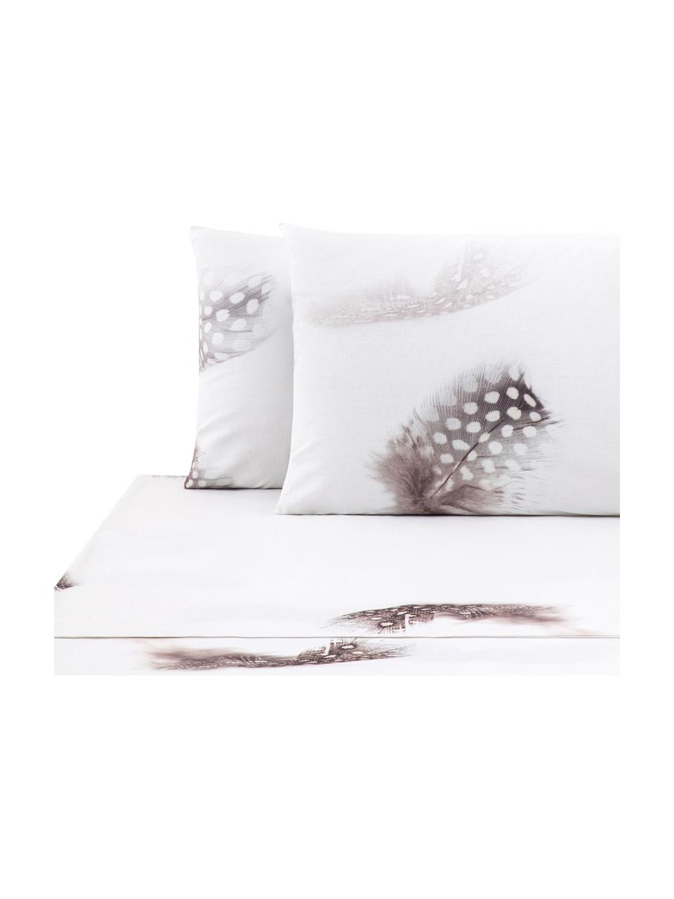 Set lenzuola in cotone Light, Tessuto: Renforcé Numero di fili 1, Bianco, marrone, grigio, 240 x 270 cm + 2 federe 50 x 75 cm