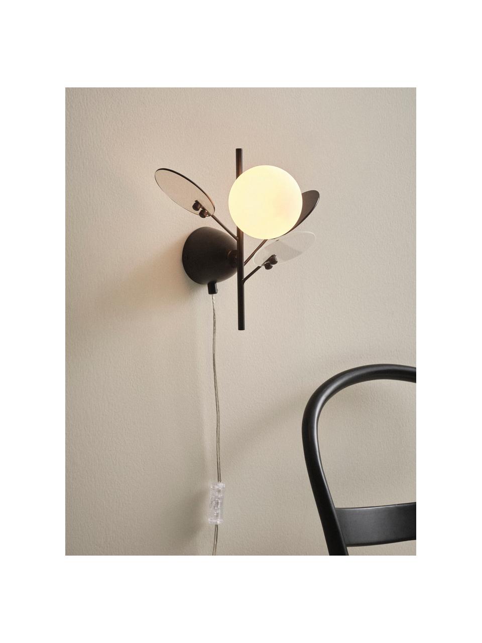 Dizajnová nástenná lampa so zástrčkou Petal, Čierna, priehľadná, H 28 x V 25 cm