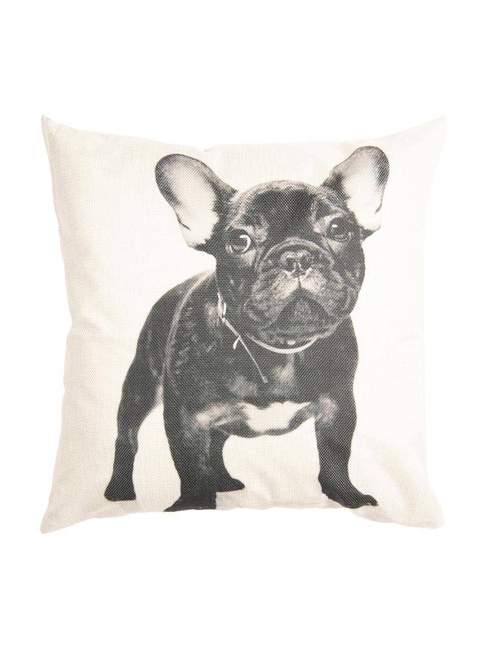 Kissenhülle Dog, 100% Polyester, Gebrochenes Weiß, Schwarz, 45 x 45 cm