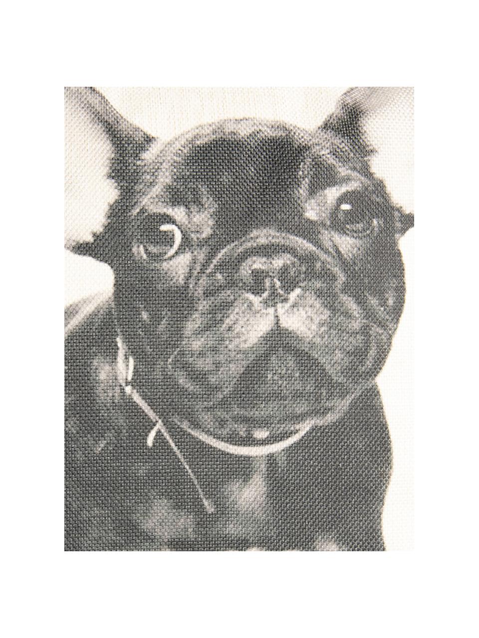 Kissenhülle Dog, 100% Polyester, Gebrochenes Weiß, Schwarz, 45 x 45 cm