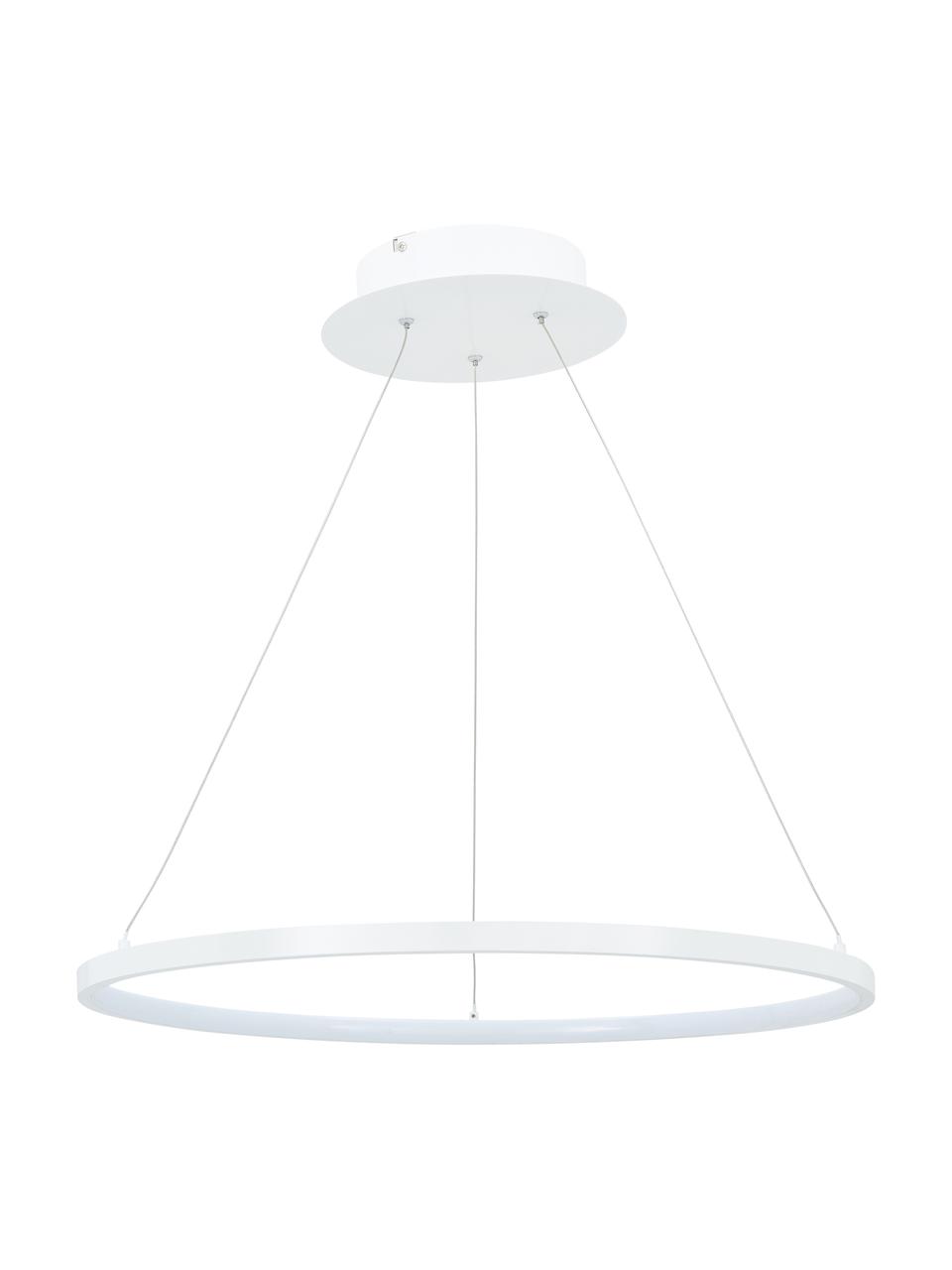 Lampa wisząca LED Jay, Osłona mocowania sufitowego: biały, matowy Klosz: biały, matowy Kabel: odcienie , Ø 60 x W 150 cm