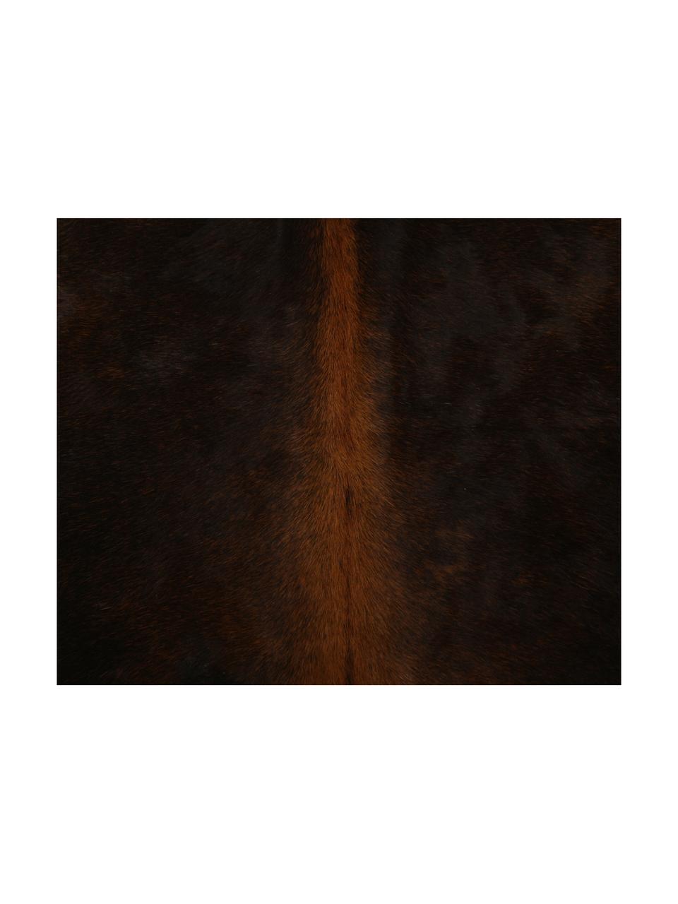 Dywan ze skóry bydlęcej Aquarius, Skóra bydlęca, Ciemny brązowy, Unikatowa skóra bydlęca 940, 160 x 180 cm