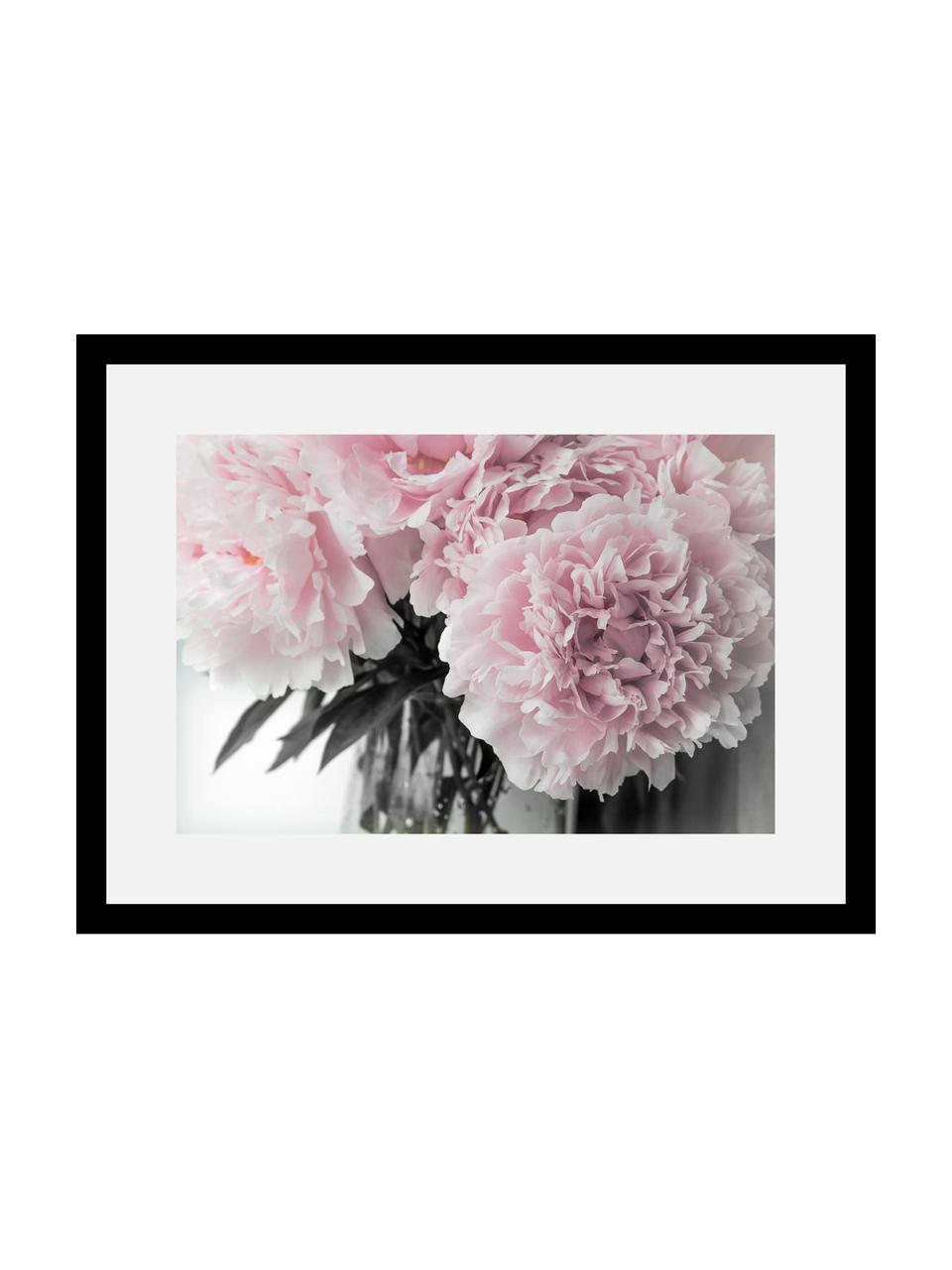 Ingelijste digitale print Pink Flowers, Afbeelding: digitale print, Lijst: hout, Afbeelding: rozetinten, wit, donkergroen. Lijst: zwart, 40 x 30 cm