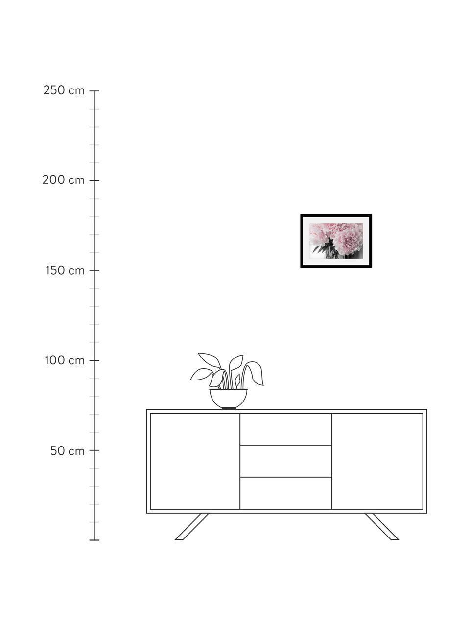 Impression numérique encadrée Pink Flowers, Image : tons roses, blanc, vert foncé Cadre : noir, larg. 40 x haut. 30 cm