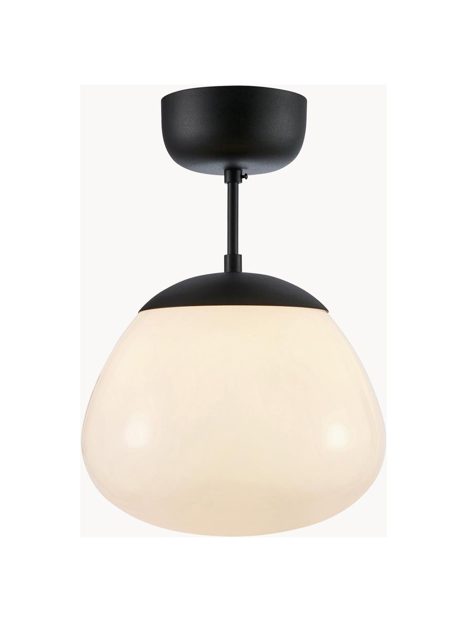 Lampada da soffitto Rise, Paralume: vetro, Baldacchino: acciaio verniciato, Bianco crema, nero, Ø 25 x Alt. 35 cm