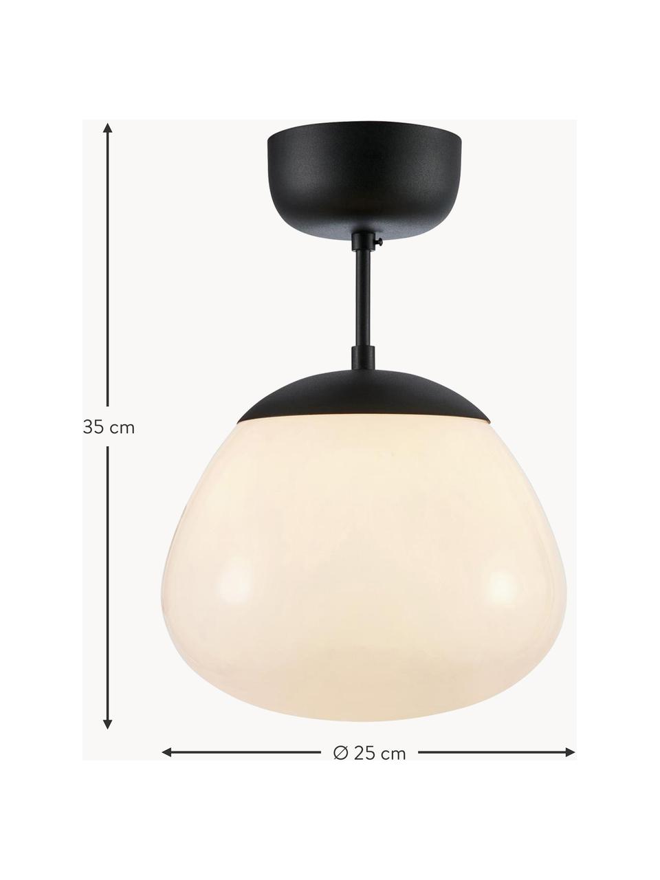 Lampada da soffitto Rise, Paralume: vetro, Baldacchino: acciaio verniciato, Bianco crema, nero, Ø 25 x Alt. 35 cm