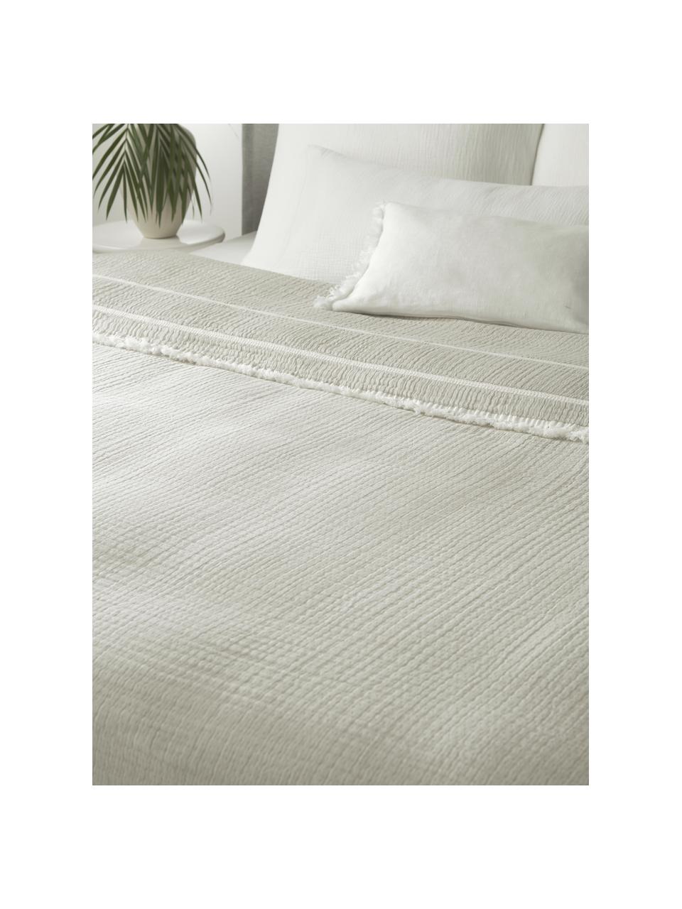 Copriletto in cotone con frange Kailani, 100% cotone organico certificato BCI
Densità del filo 225 TC, qualità comfort

La biancheria da letto in cotone è piacevolmente morbida sulla pelle, assorbe bene l'umidità ed è adatta per chi soffre di allergie, Verde salvia, Larg. 180 x Lung. 250 cm