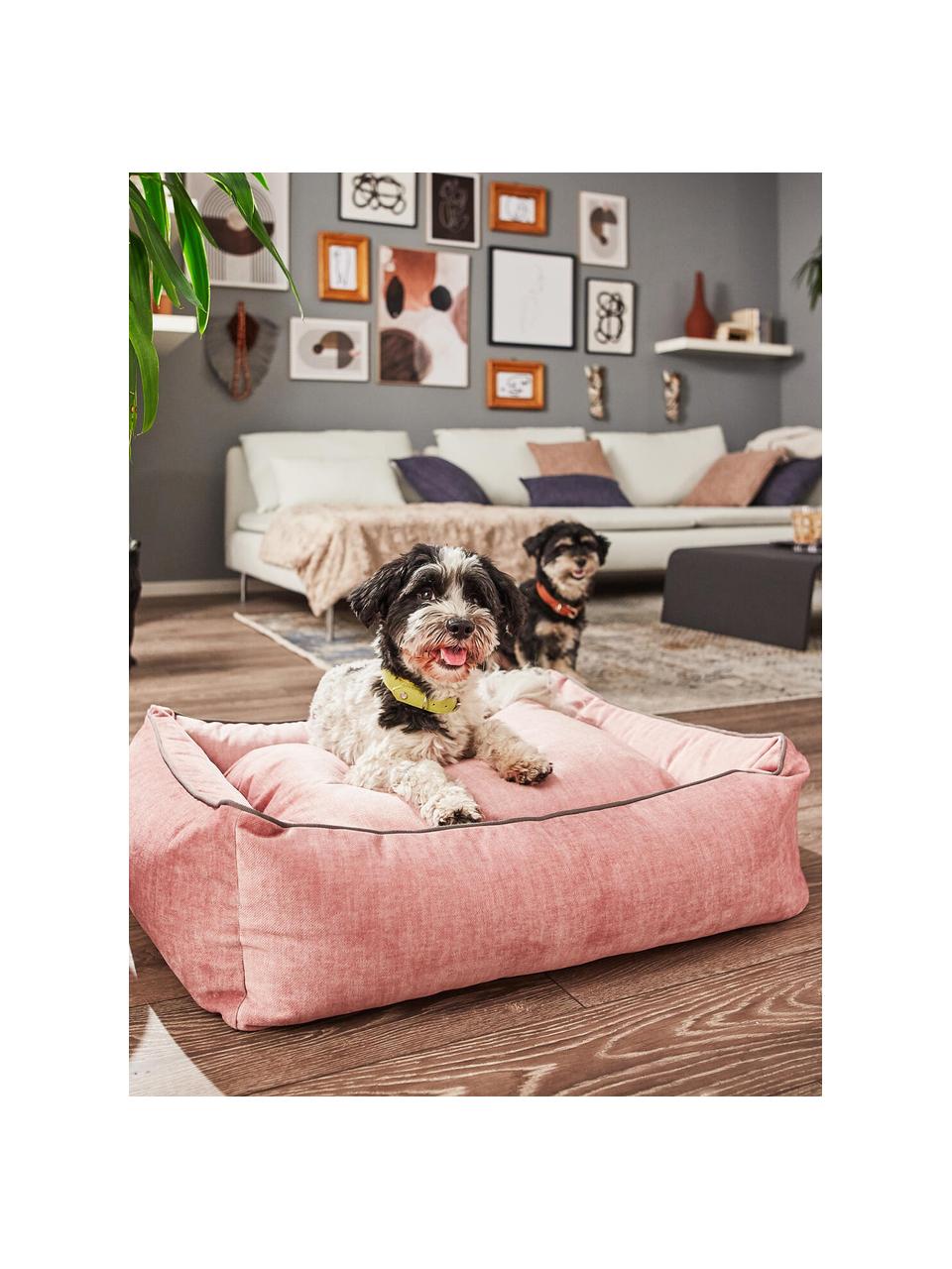 Samt-Hundebett Glam, verschiedene Größen, Bezug: Samt (100 % Polyester) De, Altrosa, Dunkelgrau, B 68 x T 55 cm