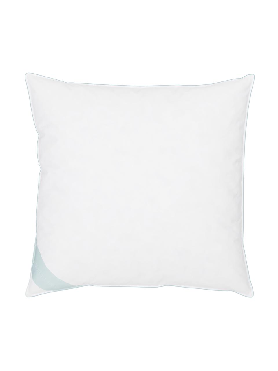Cuscino medio a 3 strati Premium, Esterno: 90% piuma d'oca, 10% pium, Interno: piume nuove bianche, clas, Bianco con fascia di stoffa in raso turchese, Larg. 80 x Lung. 80 cm