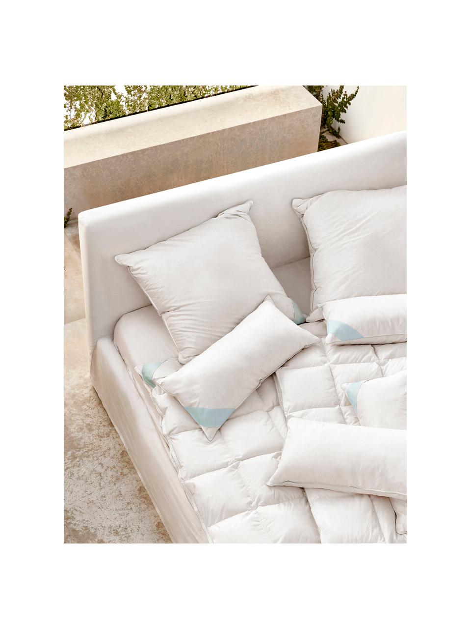 Oreiller à trois couches Premium, intermédiaire, Intermédiaire, larg. 80 x long. 80 cm