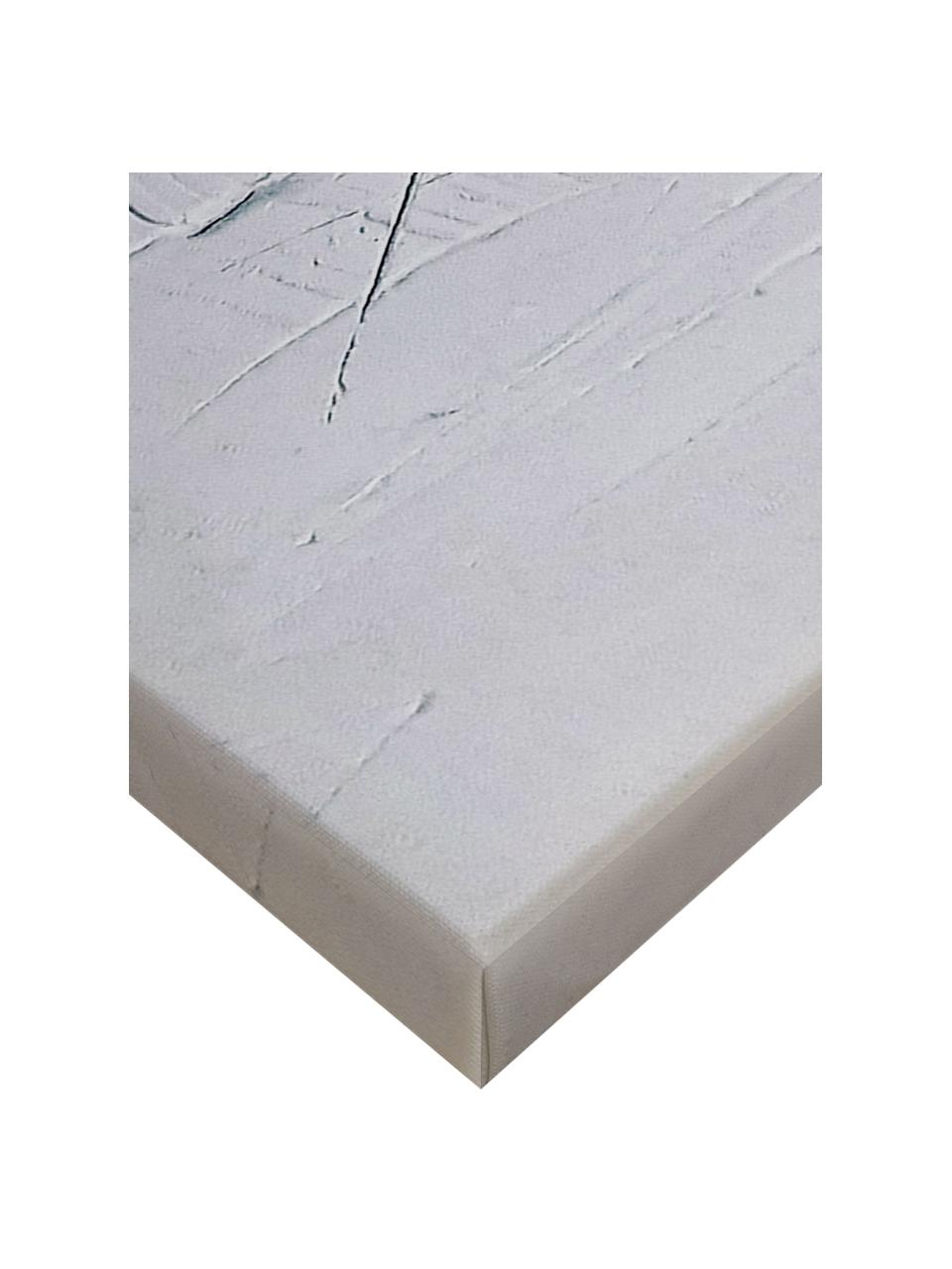 Obraz na płótnie Whipped, Szary, S 100 x W 100 cm
