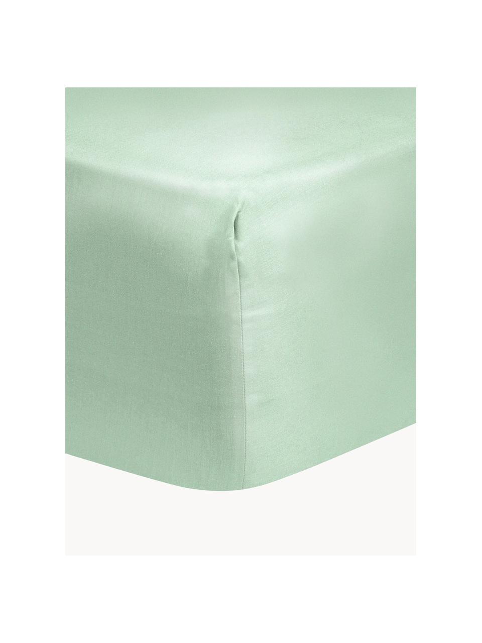 Lenzuolo con angoli in raso di cotone Comfort, Verde menta, Larg. 160 x Lung. 200 cm, Alt. 25 cm