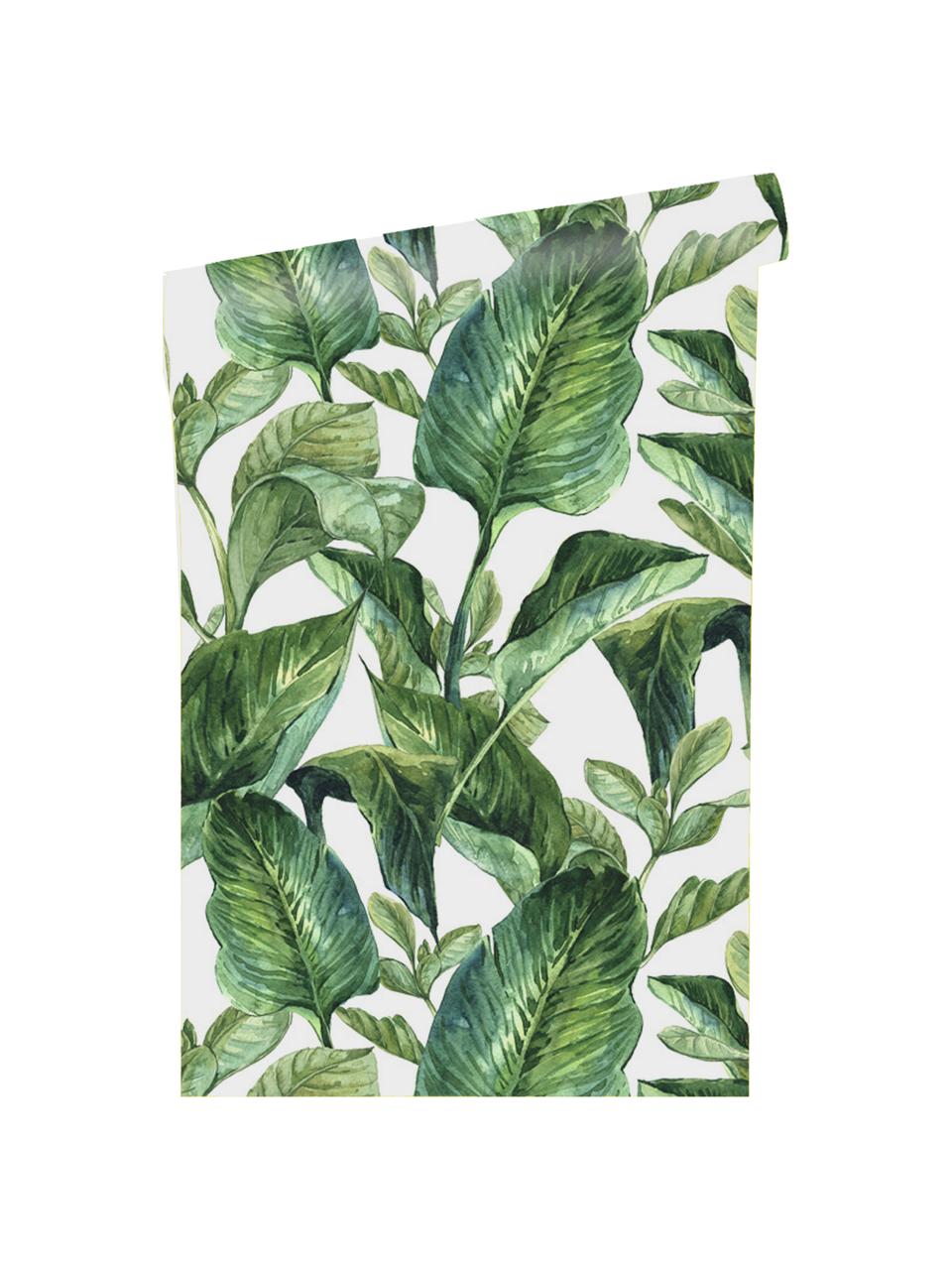 Selbstklebende Tapete Leaves, Selbstklebende Vinylfolie, Weiss, Grün, 90 x 250 cm