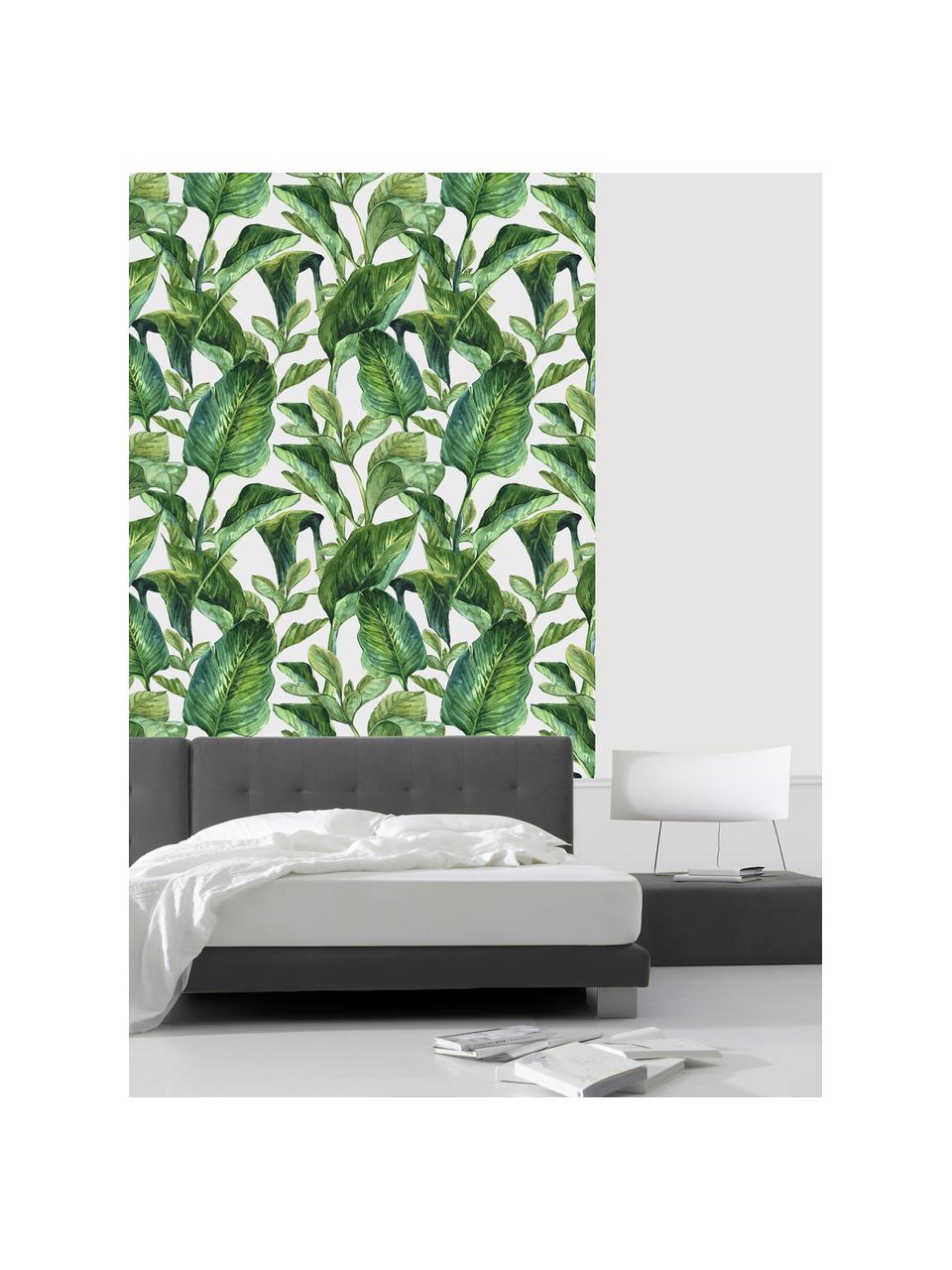 Zelfklevend behang Leaves, Zelfklevende vinyl folie, Wit, groen, 90 x 250 cm