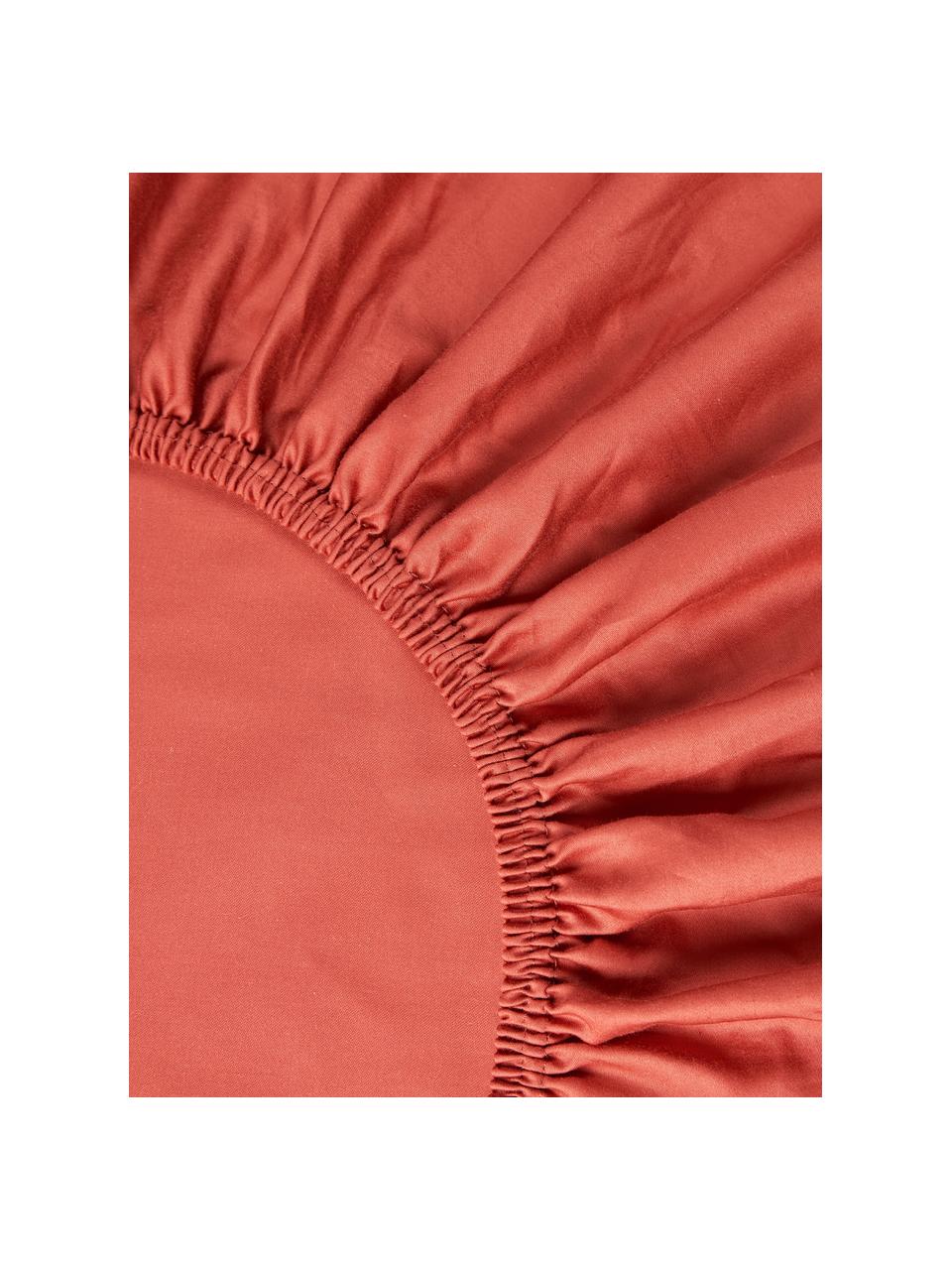 Drap-housse en satin de coton pour sommier tapissier Comfort, Rouge rouille, larg. 90 x long. 200 cm, haut. 35 cm