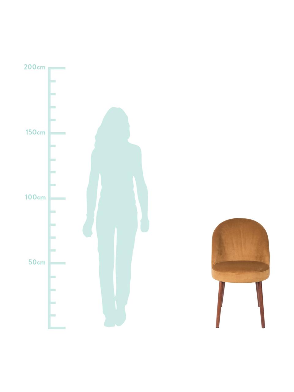 Fluwelen stoel Barbara, Bekleding: 100% polyester fluweel, Poten: gelakt beukenhout, Bekleding: geel. Poten: walnootbruin, 51 x 85 cm
