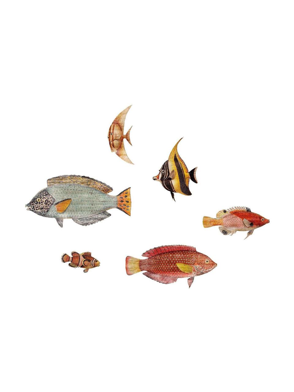 Set de decoraciones de pared Fishes, 6 pzas., Tablero de fibras de densidad media (MDF), Multicolor, Set de diferentes tamaños