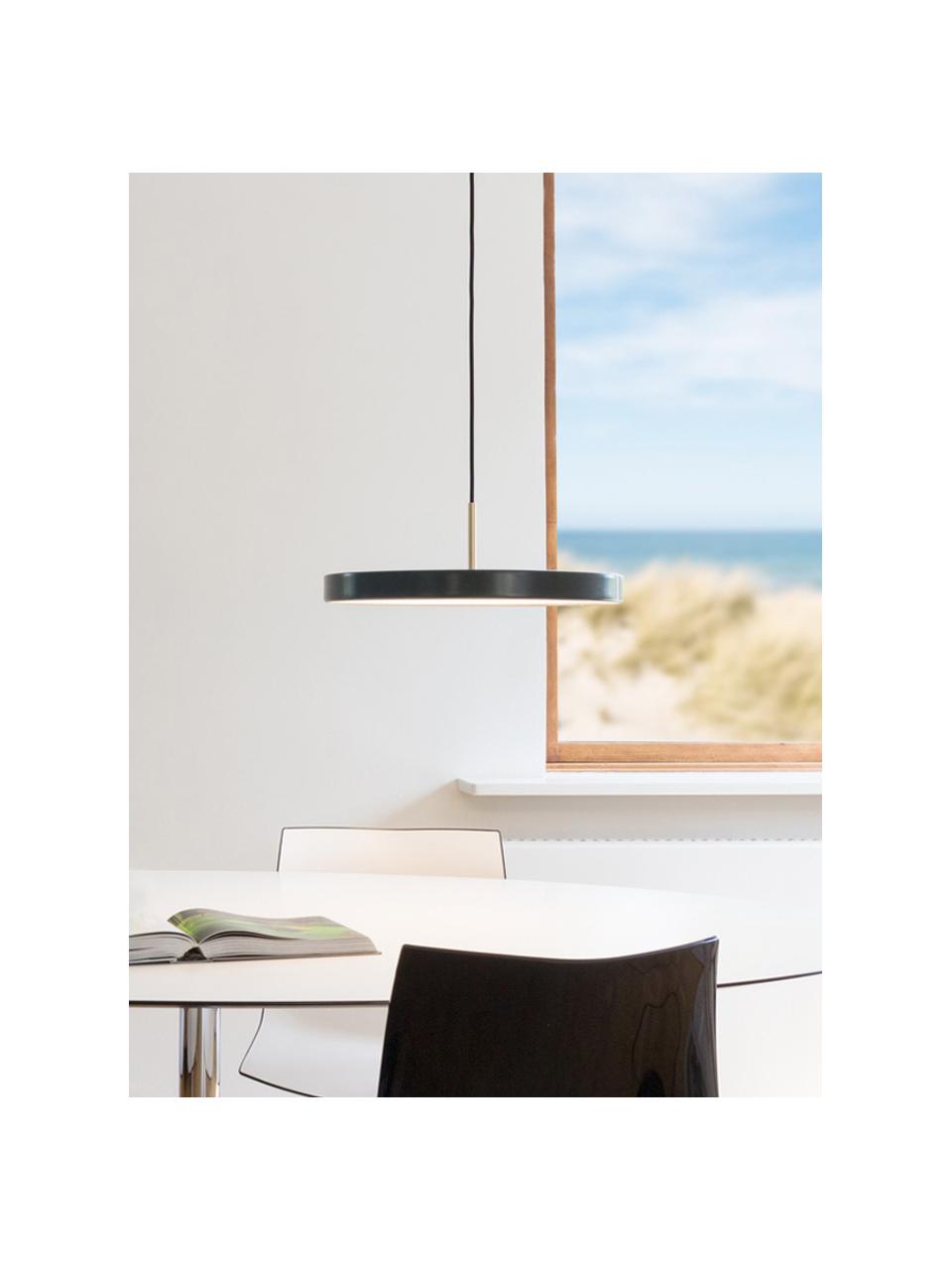 Design LED hanglamp Asteria, Lampenkap: gelakt aluminium, Diffuser: kunststof, Decoratie: gelakt staal, Diffuser: kunststof, Antraciet, goudkleurig, Ø 43  x H 15 cm