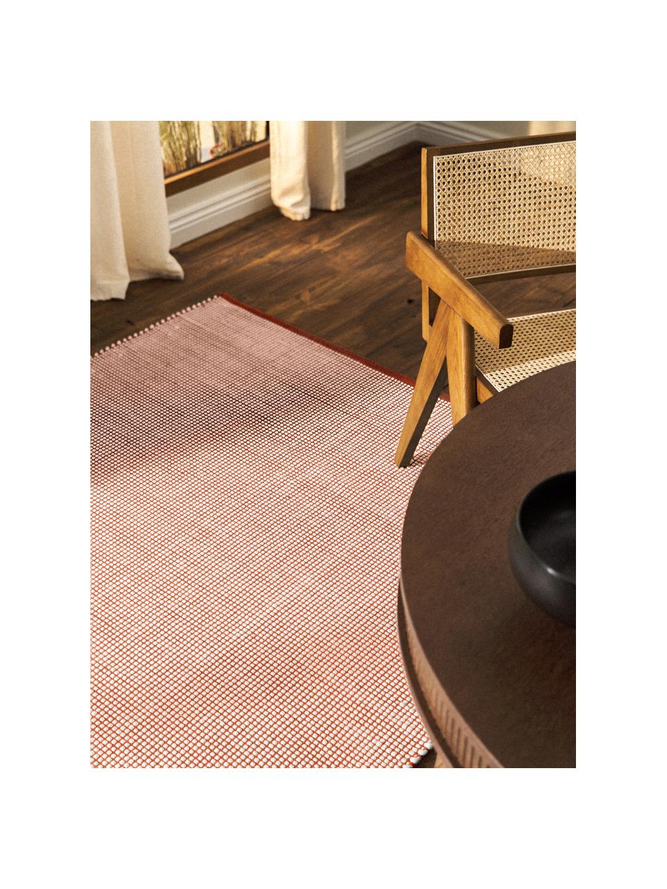 Tapis en laine tissé main Amaro, 67 % laine (certifiée RWS), 33 % coton

Les tapis en laine peuvent perdre des fibres lors des premières semaines et des peluches peuvent se former, ce phénomène est naturel et diminue à mesure de votre usage et du temps, Terracotta, blanc crème, Larg. 80 x long. 150 cm (taille XS)