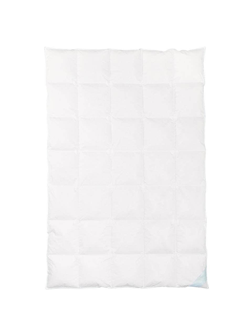 Edredón de plumón Komfort, medio, Funda: 100% algodón, sarga de Ma, Medio, Cama 135/140 cm (200 x 200)