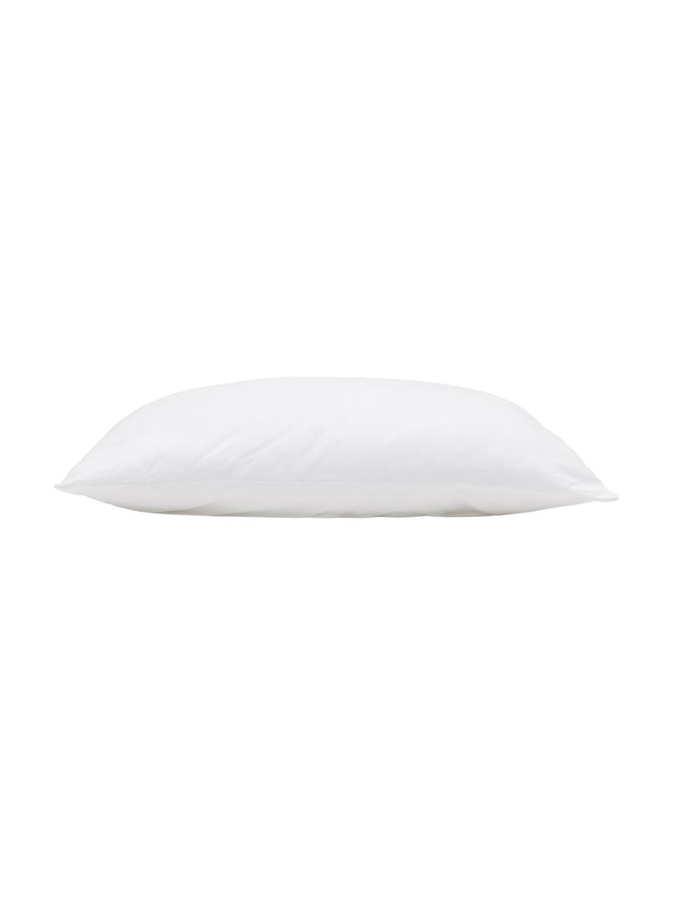 Garnissage de coussin en microfibre 60 x 60 Sia, Blanc, larg. 60 x long. 60 cm