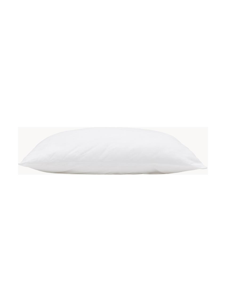 Garnissage de coussin 60x60 en microfibre Sia, Blanc, larg. 60 x long. 60 cm