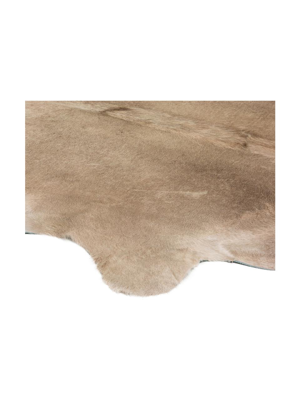 Alfombra de piel bovina Taurus, Piel bovina, curtida, Beige, Piel bovina única 350, 160 x 180 cm