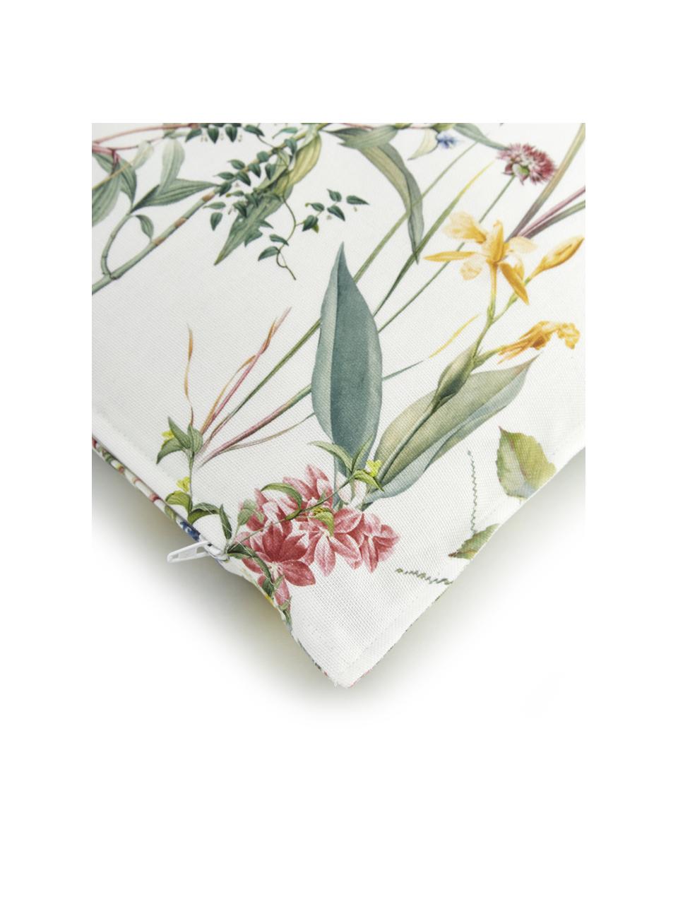 Kussenhoes Anjuli met bloemenprint, 100% katoen, Wit, multicolour, B 30 x L 50 cm