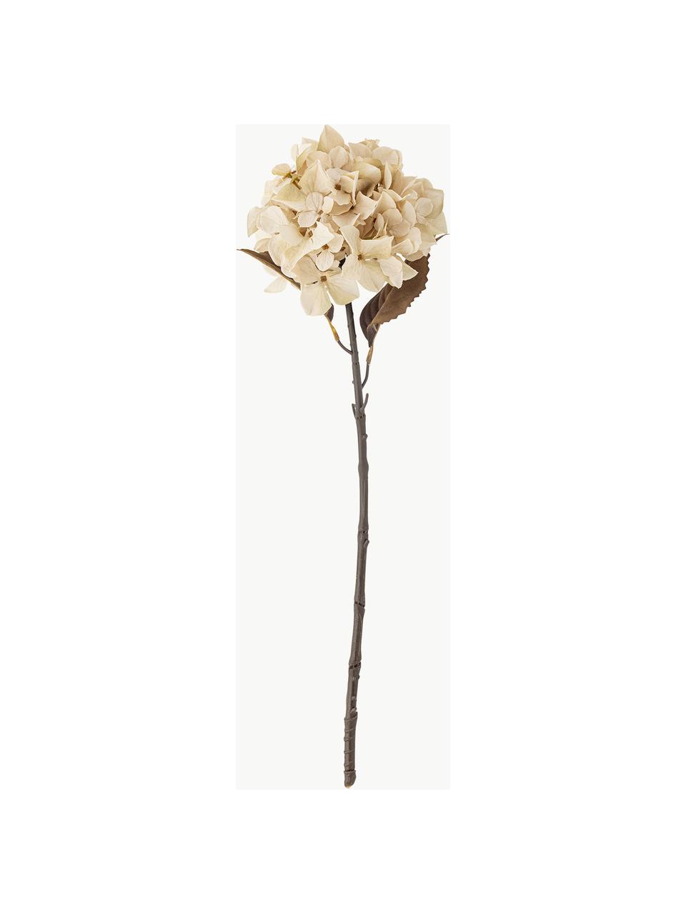 Kunstblume Hortensie, Kunststoff, Polyester, Metall, Cremeweiss, Olivgrün, L 65 cm