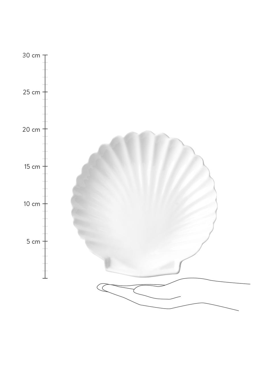 Piatto piano a forma di conchiglia Shell 2 pz, Ceramica, Bianco, Ø 20 cm