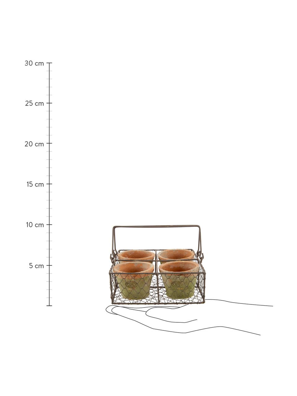 Sada květináčů z terakoty Daria, 5 dílů, Terakotová, hnědá, Š 24 cm, V 10 cm