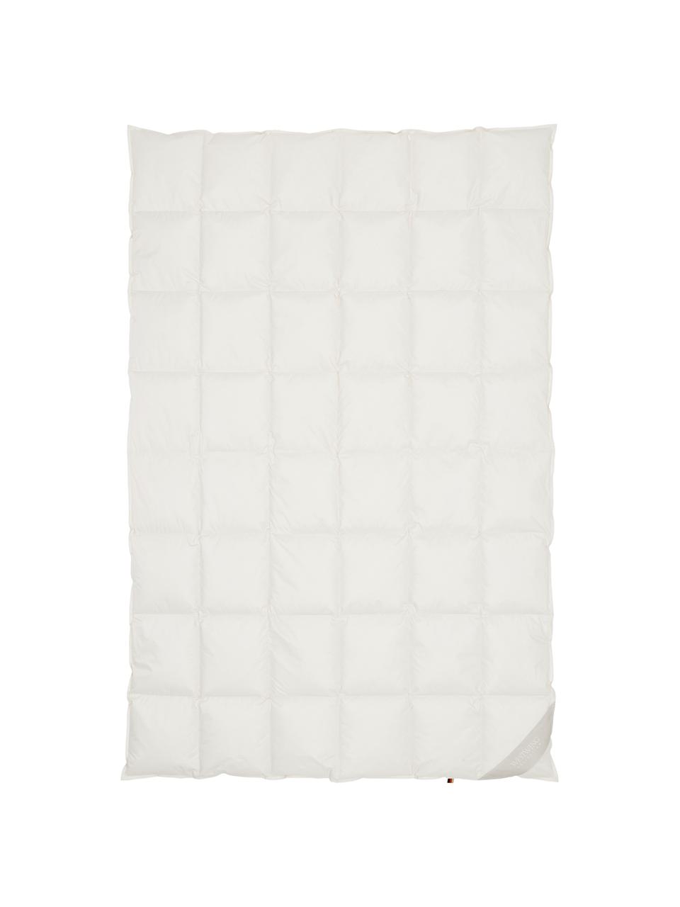 Bettdecke Premium aus Bio-Daunen und Bio-Baumwolle, leicht, Bezug: 100% Bio-Baumwolle, GOTS , Beige, 240 x 220 cm