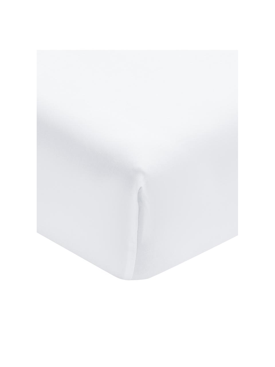 Sábana bajera de satén de algodón ecológico Premium, Blanco, Cama 160 cm (160 x 200 cm)