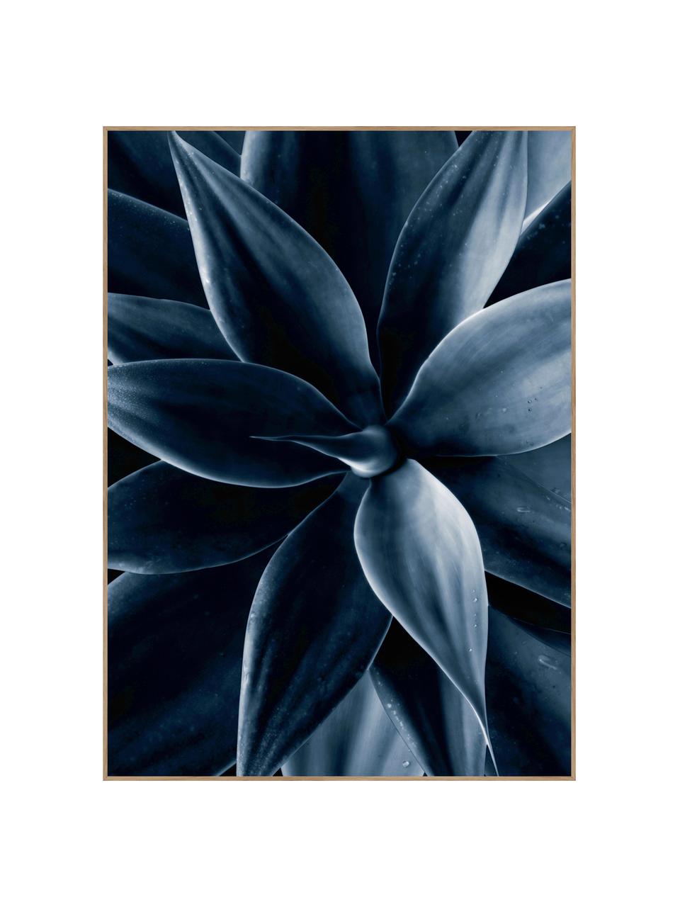 Impresión digital enmarcada Dark Plant I, Fotografía: impresión digital sobre p, Parte trasera: tablero de fibras de dens, Negro, azul, An 50 x Al 70 cm